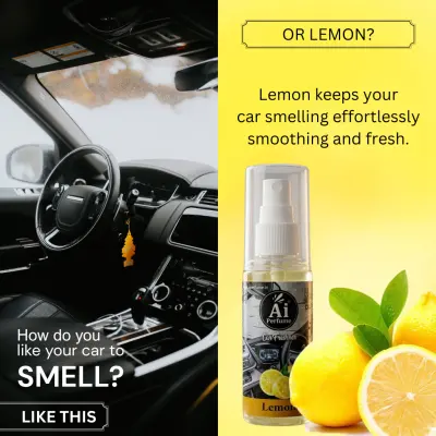 LEMON - image 3