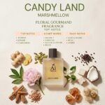 CANDY LAND